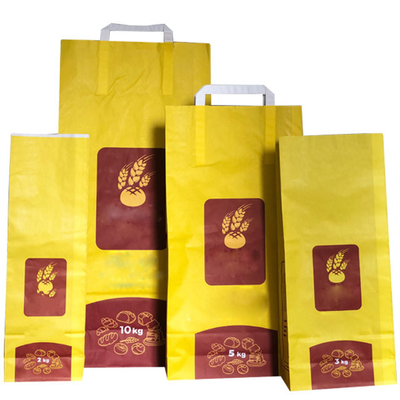 Kundenspezifische Druck-6L 10L biologisch abbaubare Papiertüten ISO9001 für Cat Litter Packaging