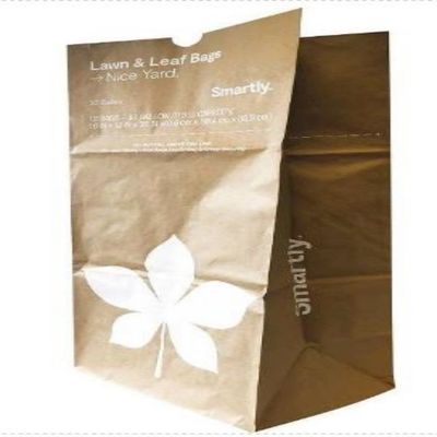 Offene Soem-ODM-Rasenpapiertüte-Sondergröße-kundenspezifische Stärke