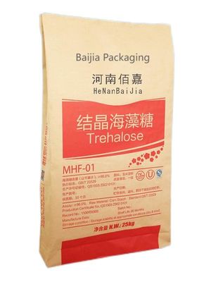 Pulverververpackungslösungen Mehrwand-Kraftpapierbeutel